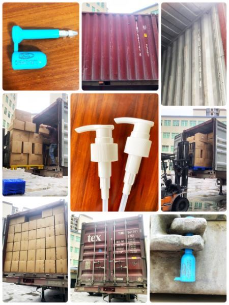 Rongsen Shipment Photo
